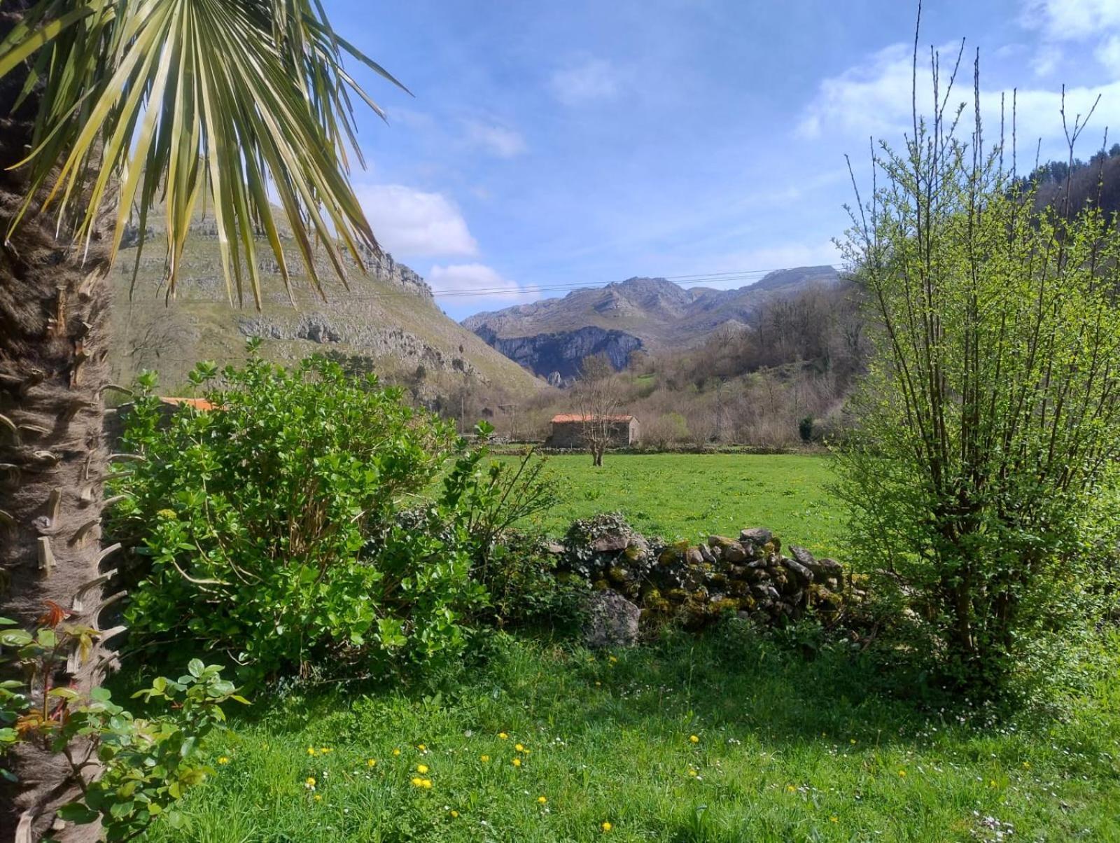 Amplia Y Comoda Casa De Piedra Con Porche Y Jardin San Roque de Ríomiera Kültér fotó